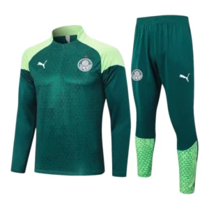 Conjunto Palmeiras Treino 24/25 - Masculino Puma - Verde