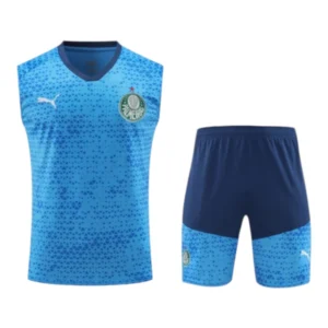 Kit Treino adulto - Camisa e Shorts - Palmeiras Puma 24/25 - Azul
